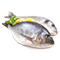 RIBLJA JELA