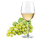 WEISSWEINE